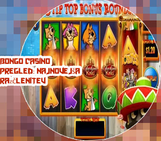 Bongo casino